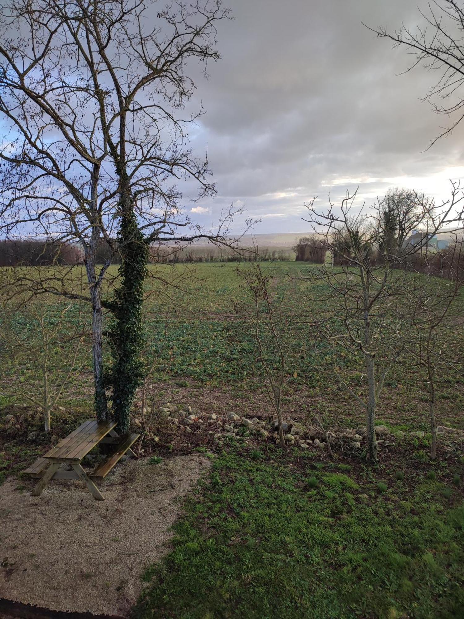 Gite De Montrancon Landes  Zewnętrze zdjęcie